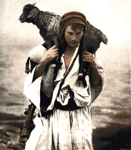 shepherd-and-flock-3.gif